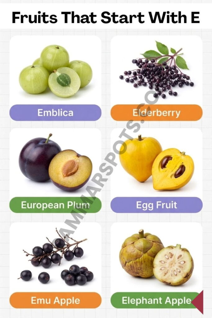 Complete list of Fruits That Start With E
