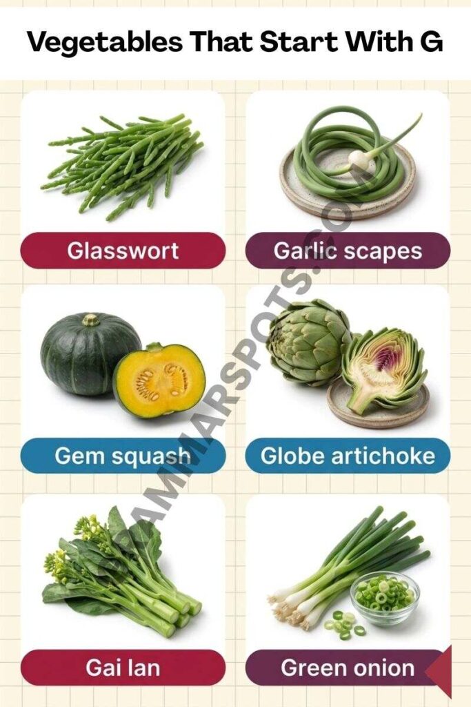 Complete list of Vegetables That Start With G