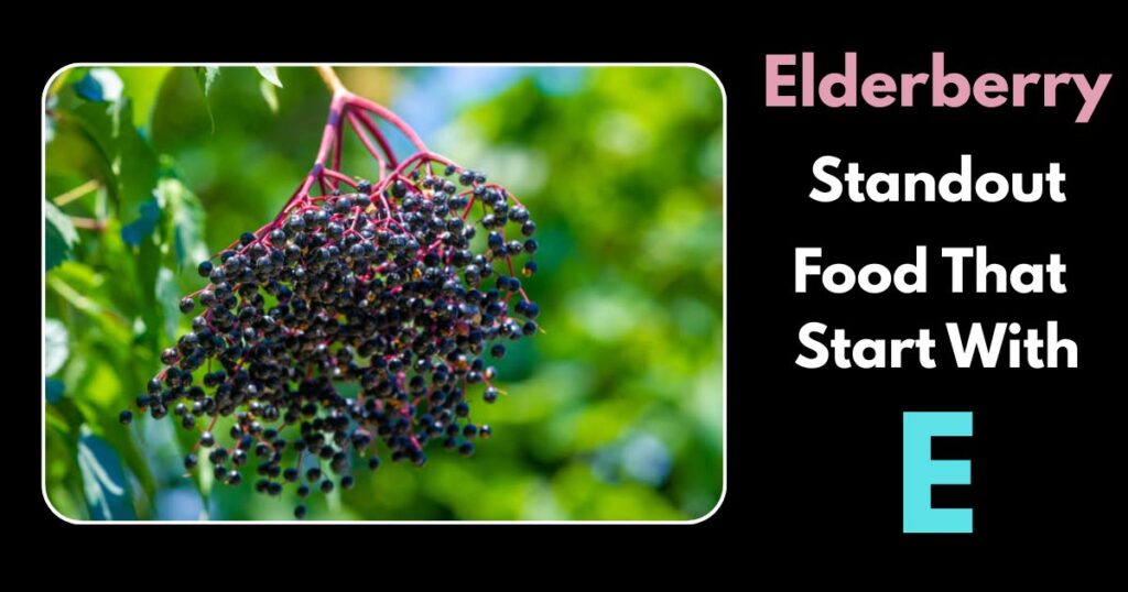 Elderberry Start with E