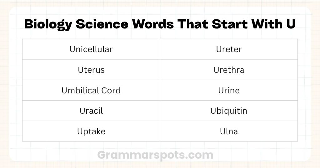 Biology Science Words That Start With U