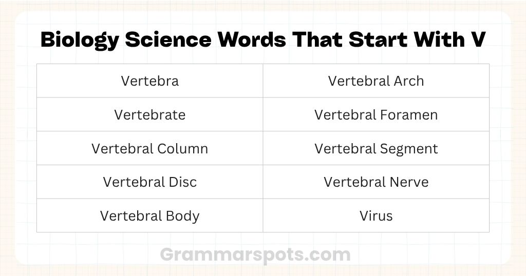 Biology Science Words That Start With V