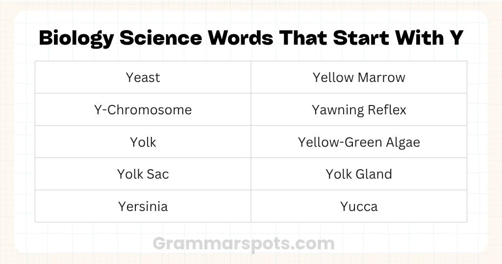 Biology Science Words That Start With Y