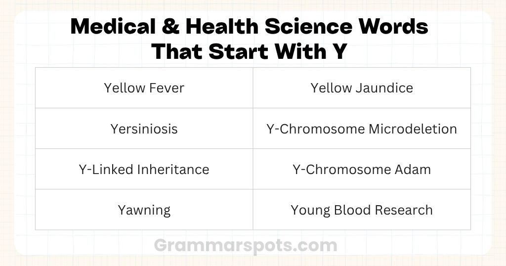 Medical & Health Science Words That Start With Y