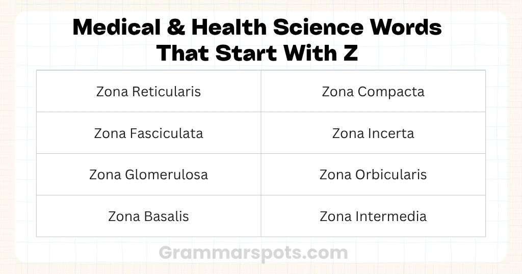 Medical & Health Science Words That Start With Z