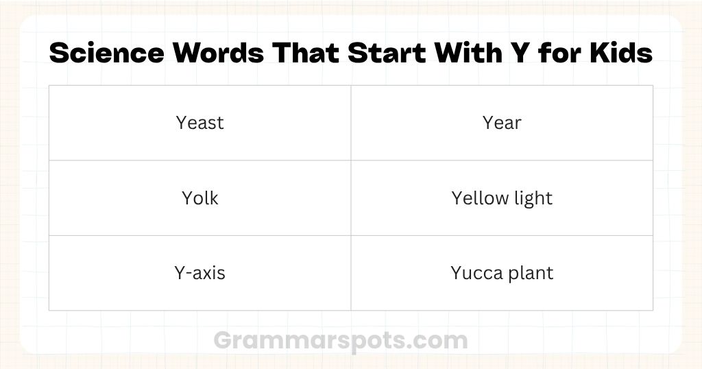 Science Words That Start With Y for Kids