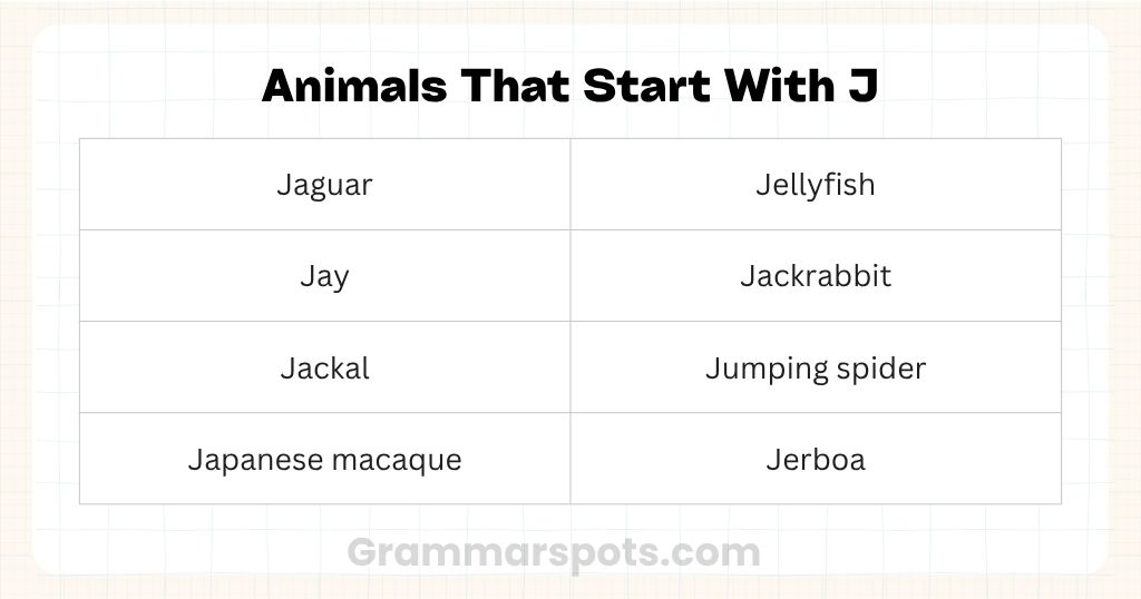Animals That Start With J