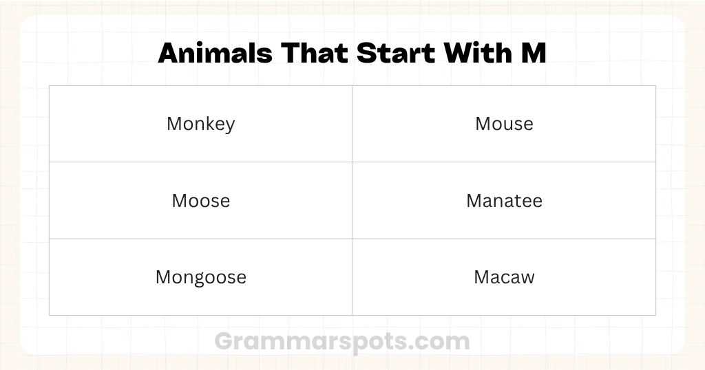 Animals That Start With M