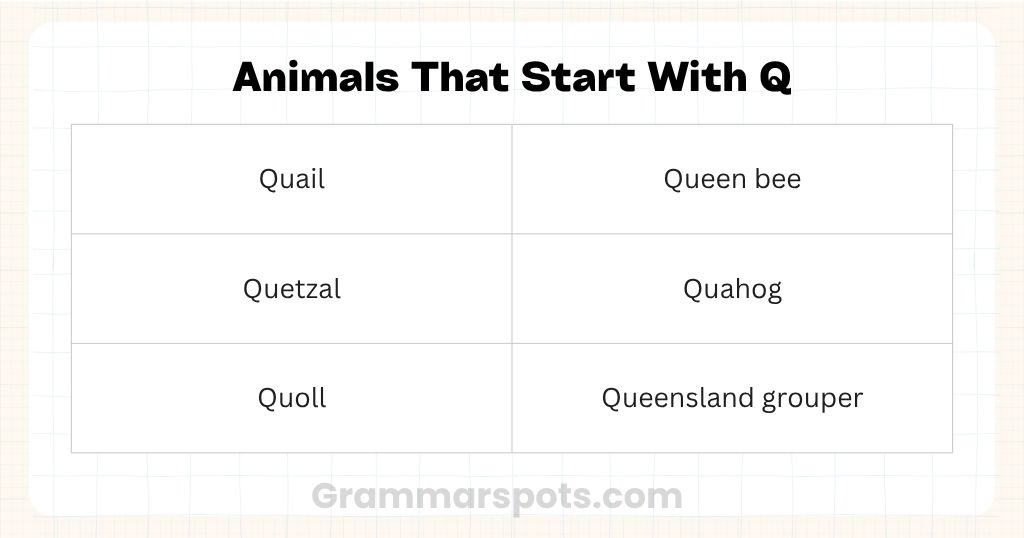 Animals Begin With Q