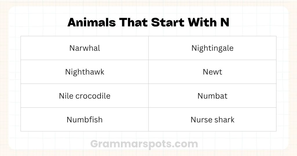 Animals That Start With The Letter N