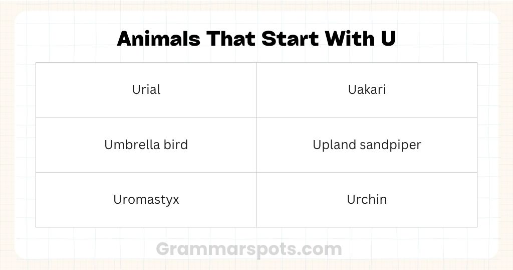 Animals That Start With U