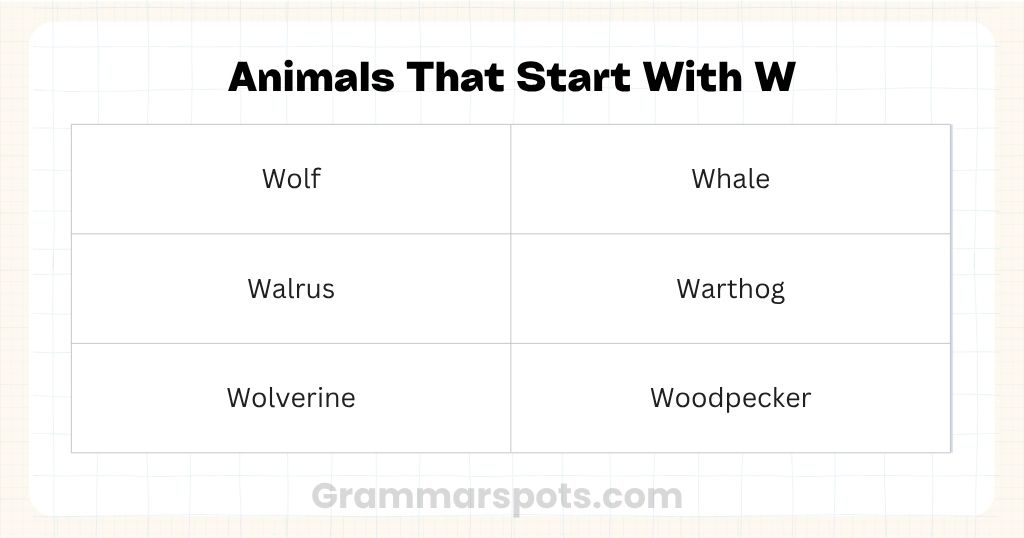 Animals That Start With Letter W