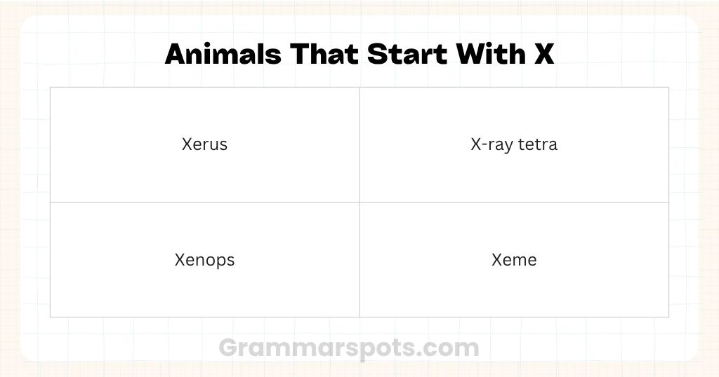 Animals That Start With X
