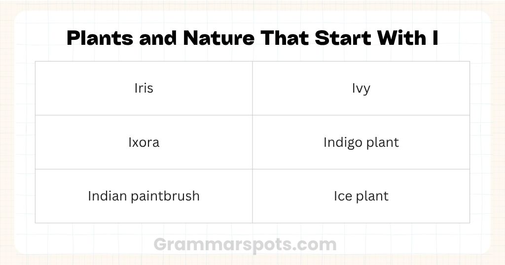Plants & Nature That Start With I