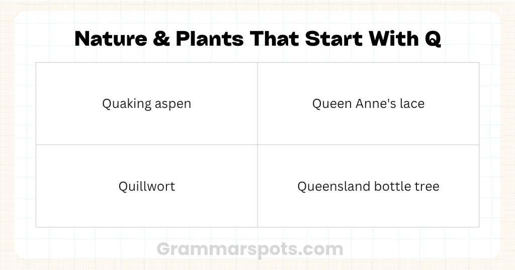 Plants and Nature That Start With Q