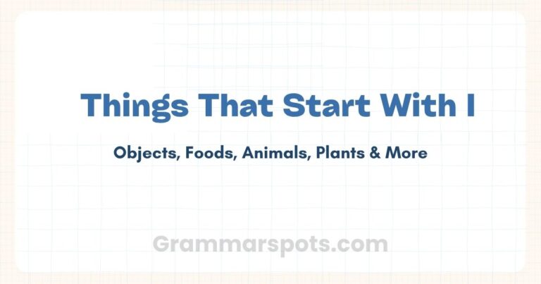 Things That Start With I — Objects, Animals, Food & More 