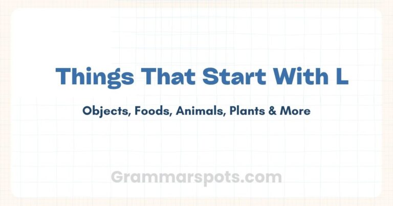 Things That Start With L: Best Things From Animals, Foods, Objects, and More 