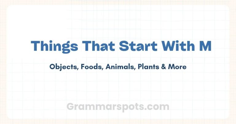 Things That Start With M: Objects, Animals, Food, and More
