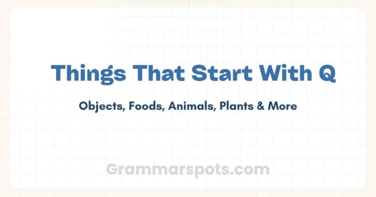 Things That Start With Q: Greatest Hits of Animals, Foods, Places, and More