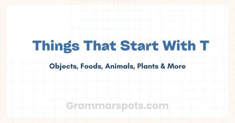 Things That Start With T: Organized, Categorized, and Easy to Browse