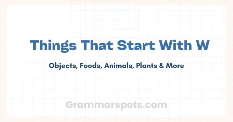 Things That Start With W: Animals, Foods, Objects & More