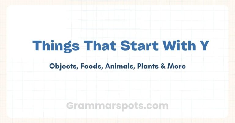 Things That Start With Y: A List of Objects, Animals, Foods & More